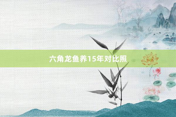 六角龙鱼养15年对比照