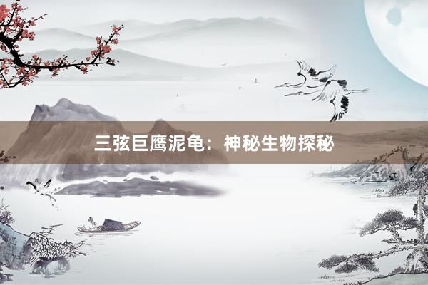 三弦巨鹰泥龟：神秘生物探秘