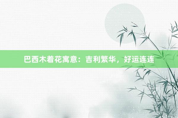 巴西木着花寓意：吉利繁华，好运连连